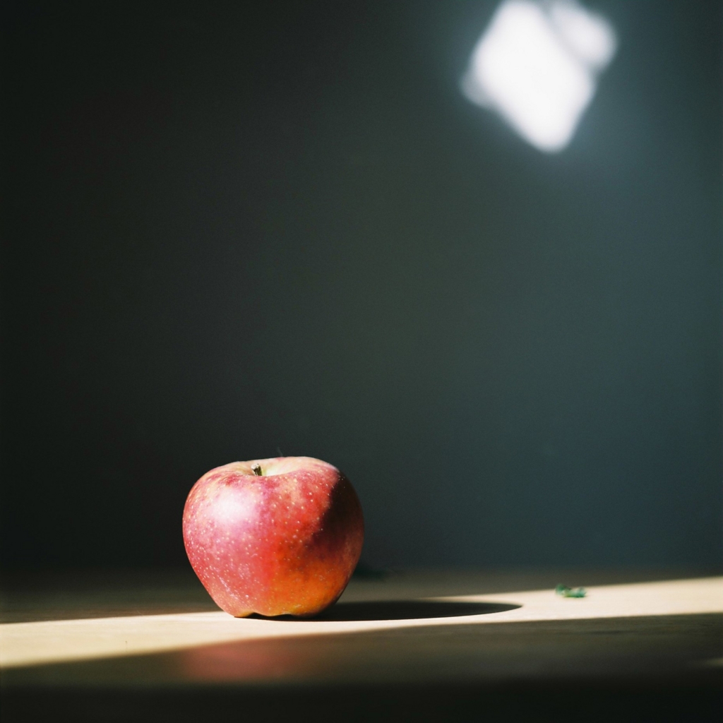 f:id:NR03:20170119212503j:plain