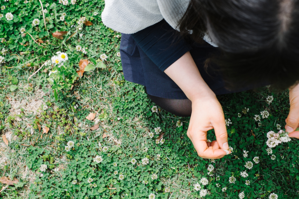 f:id:NR03:20170514200655j:plain