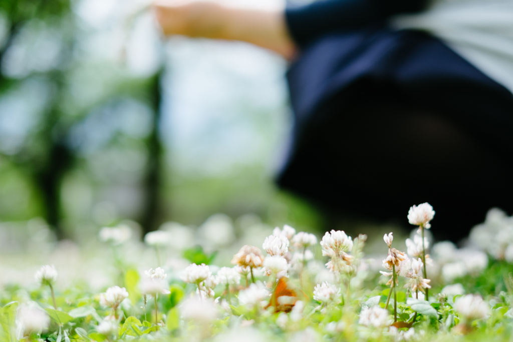 f:id:NR03:20170514200713j:plain