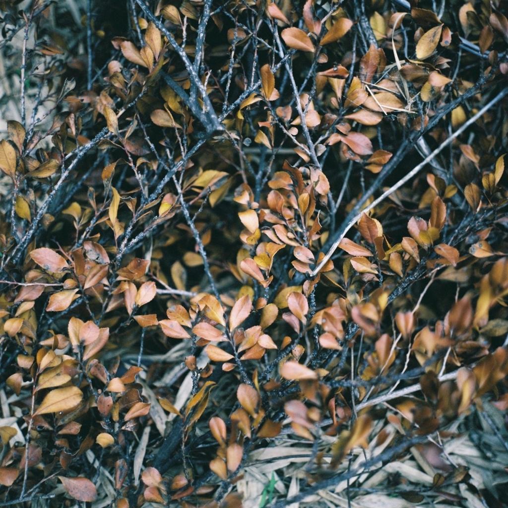 f:id:NR03:20170626224041j:plain