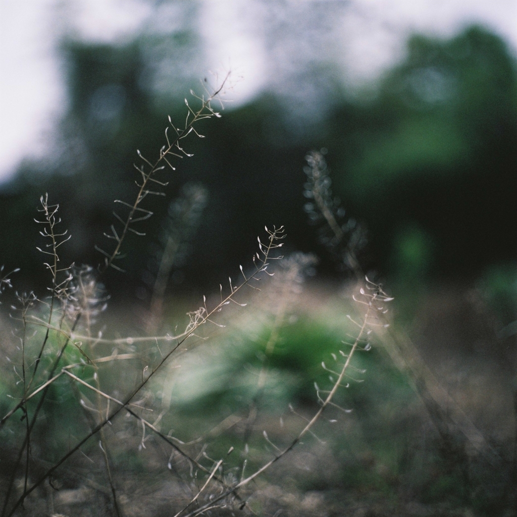 f:id:NR03:20170626224104j:plain