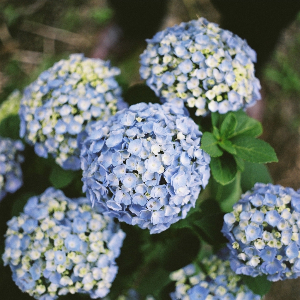 f:id:NR03:20170626224135j:plain