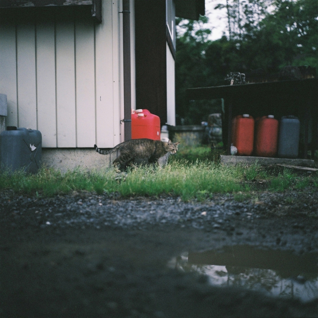 f:id:NR03:20170626224928j:plain