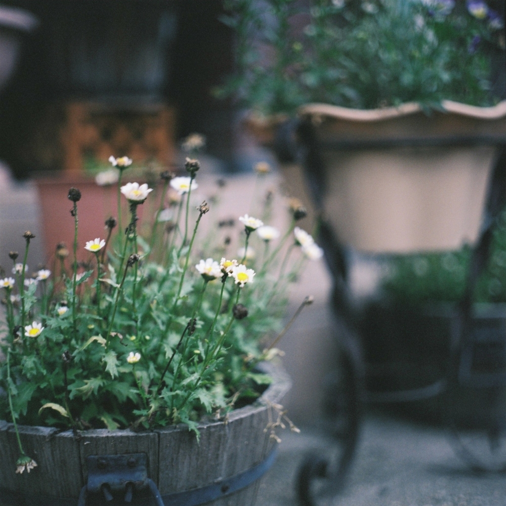 f:id:NR03:20170626225354j:plain