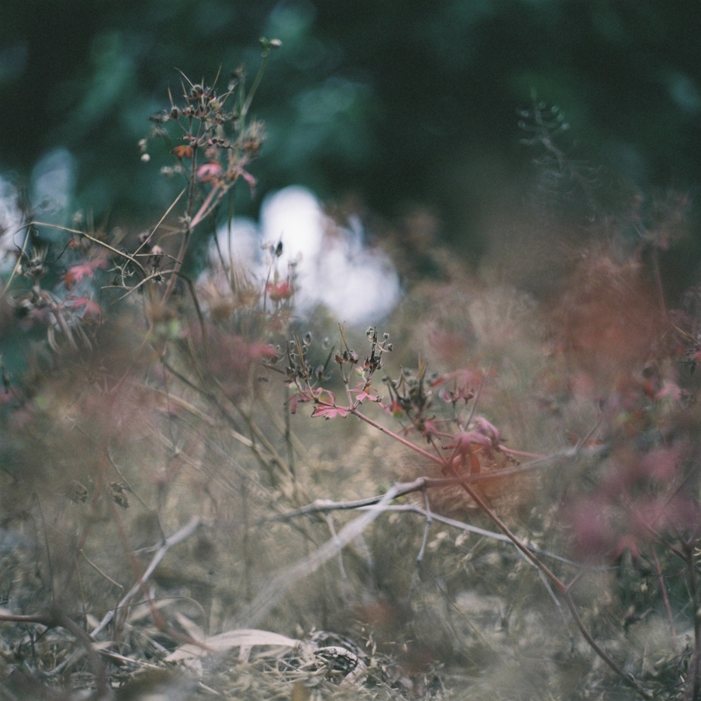 f:id:NR03:20170626225548j:plain