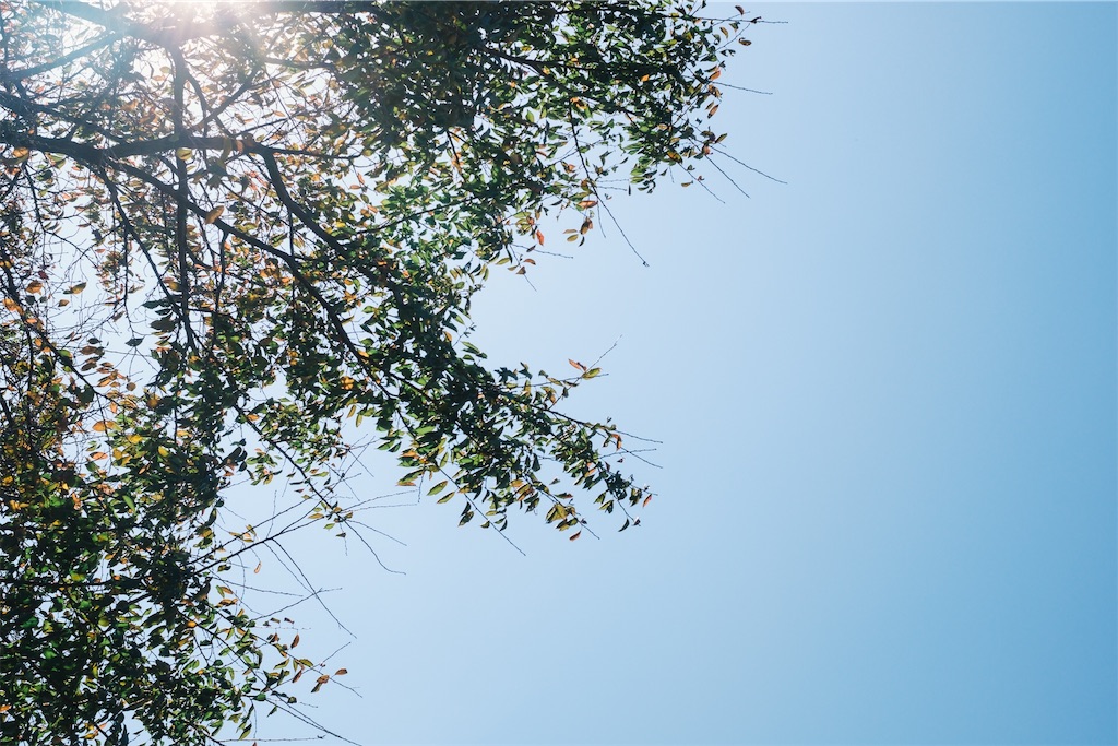 f:id:NR03:20181106123624j:image