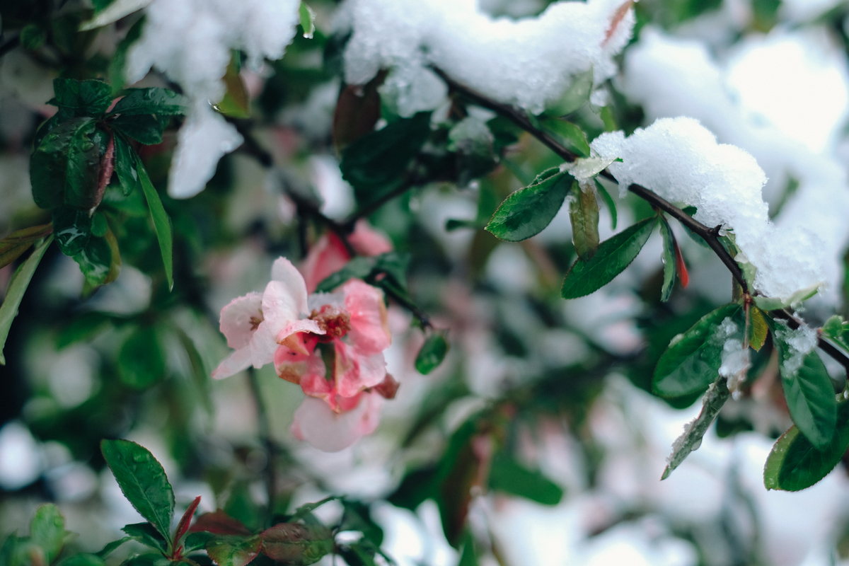 f:id:NR03:20200416103025j:plain