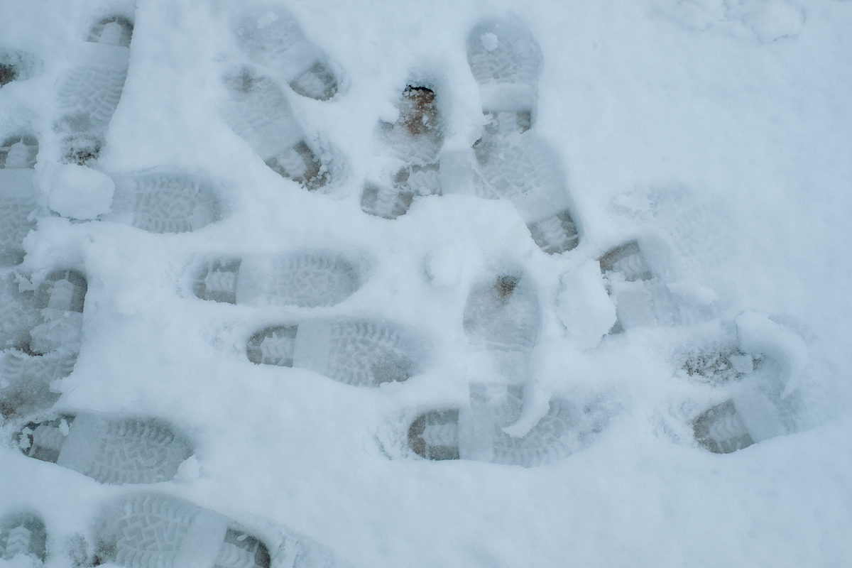 f:id:NR03:20200416103717j:plain