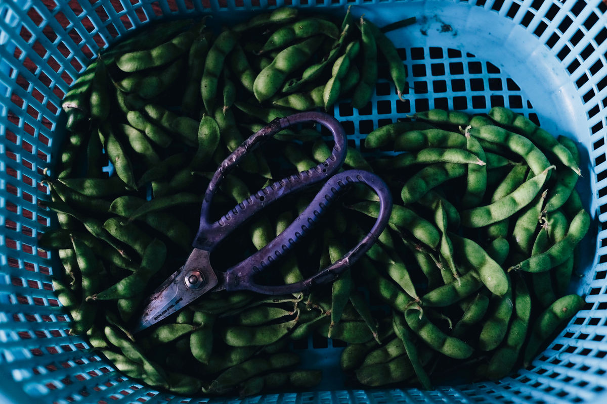 f:id:NR03:20200816231840j:plain