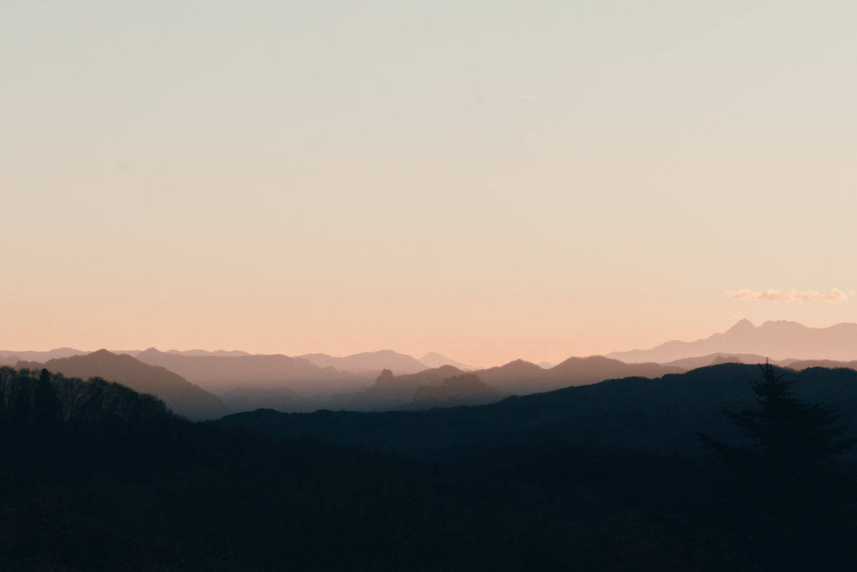 f:id:NR03:20210825234129j:plain