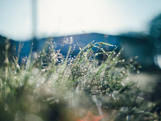 f:id:NR03:20230430091812j:image f:id:NR03:20230430091812j:image