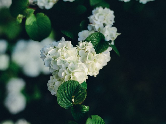 f:id:NR03:20230430092117j:image f:id:NR03:20230430092117j:image