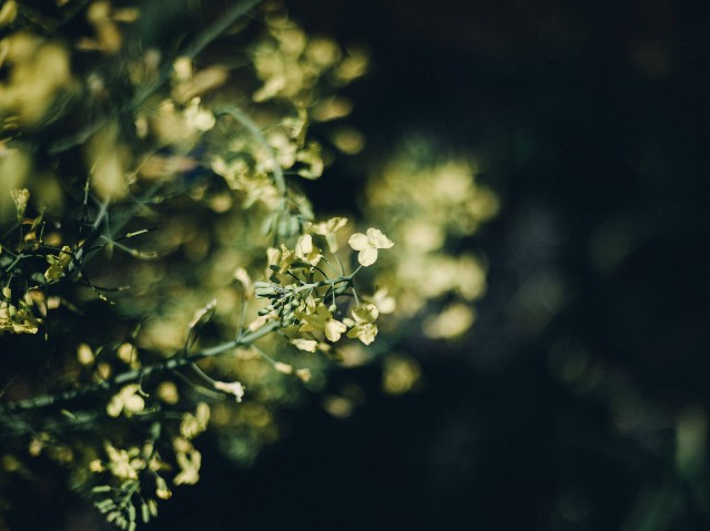 f:id:NR03:20230430093949j:image f:id:NR03:20230430093949j:image