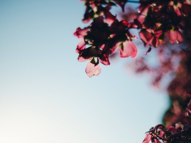 f:id:NR03:20230501121121j:image f:id:NR03:20230501121121j:image