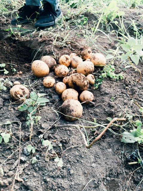 f:id:NR03:20230801213757j:image