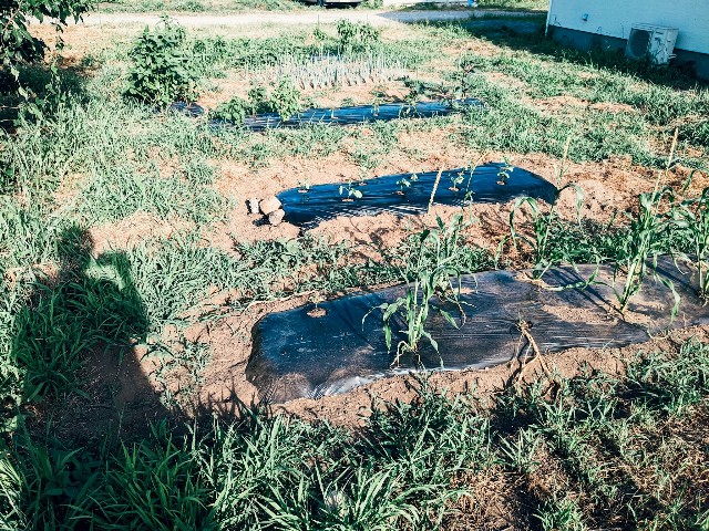 f:id:NR03:20230801213929j:image