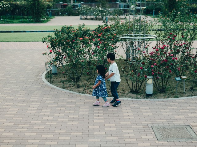 f:id:NR03:20230814124816j:image f:id:NR03:20230814124816j:image