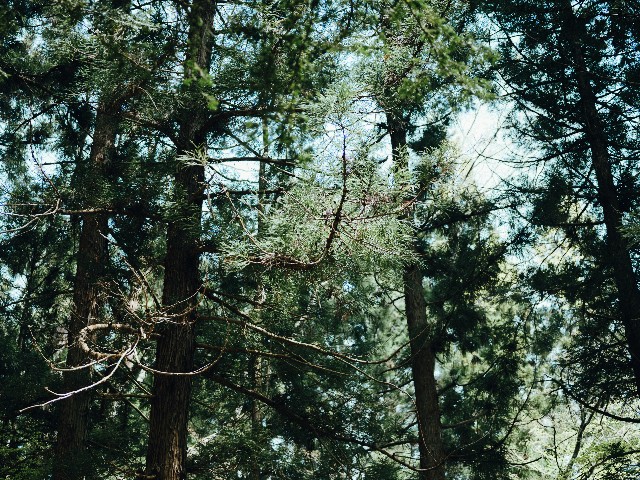 f:id:NR03:20240515134500j:image f:id:NR03:20240515134500j:image