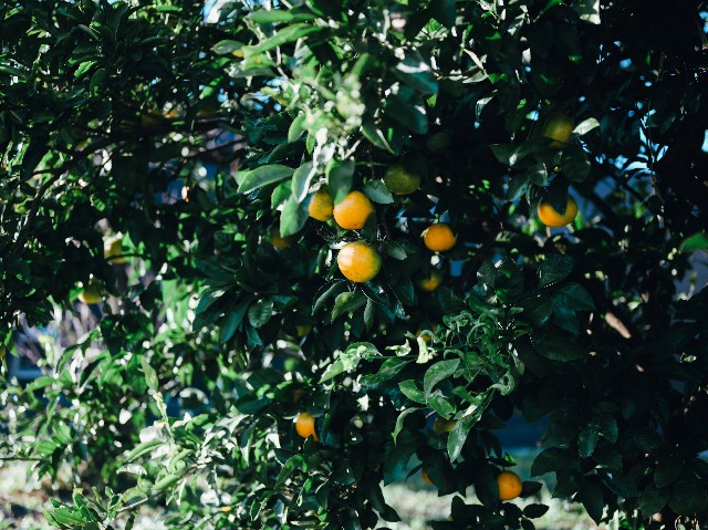 f:id:NR03:20241202175014j:image f:id:NR03:20241202175014j:image