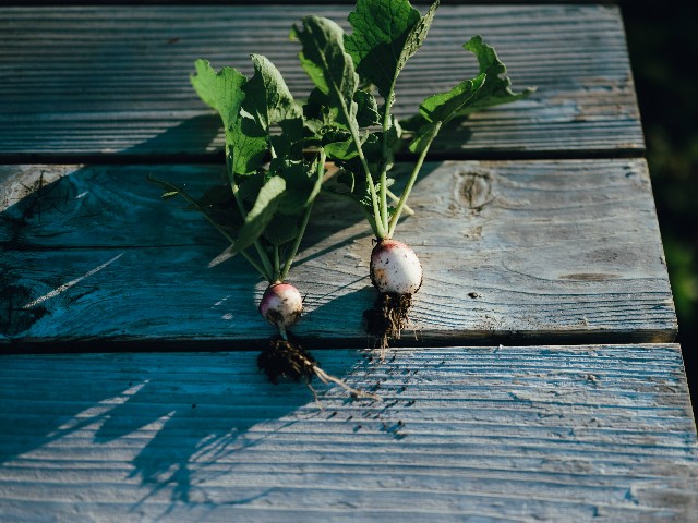 f:id:NR03:20241202175249j:image f:id:NR03:20241202175249j:image