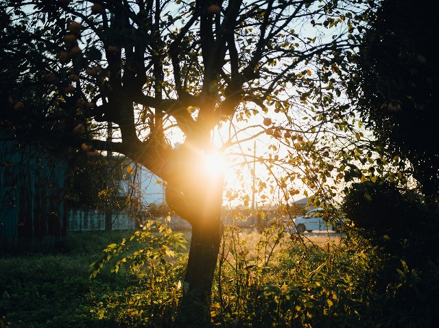 f:id:NR03:20241202175357j:image f:id:NR03:20241202175357j:image