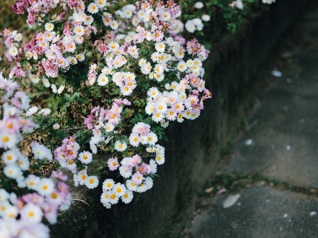 f:id:NR03:20241205220653j:image