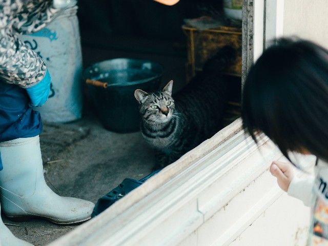 f:id:NR03:20250302140952j:image