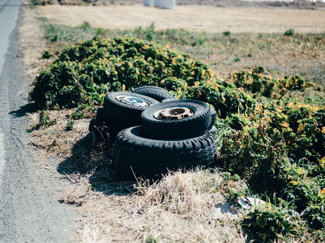 f:id:NR03:20250302141034j:image