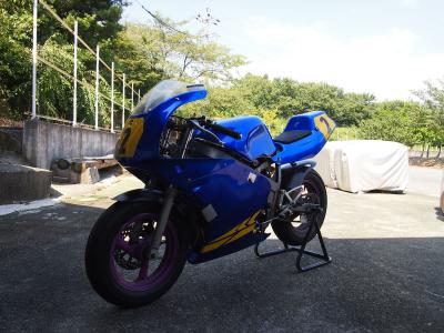 P8252235_R.jpg
