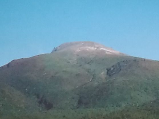 f:id:NShufu:20170701110324j:plain f:id:NShufu:20170701110324j:plain