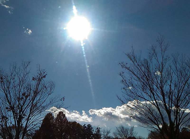 f:id:NShufu:20171126163316j:plain f:id:NShufu:20171126163316j:plain