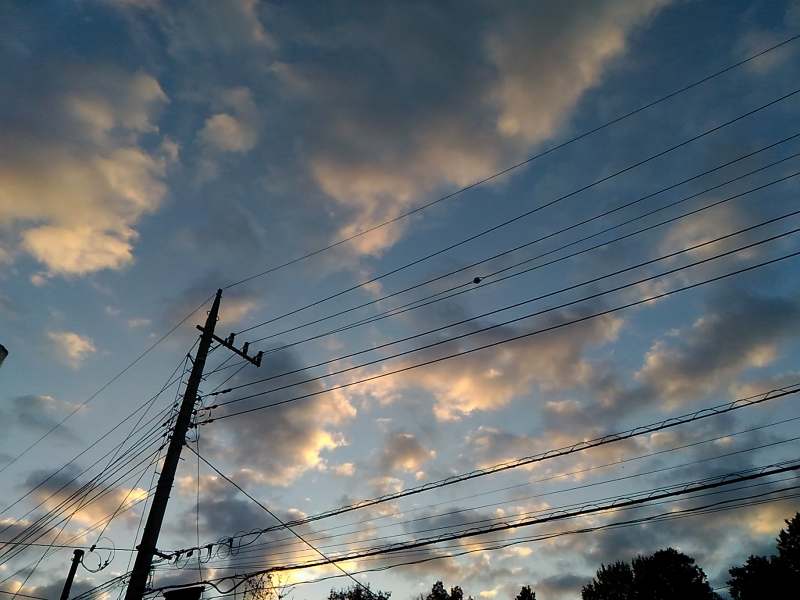 f:id:NShufu:20180311144928j:plain f:id:NShufu:20180311144928j:plain
