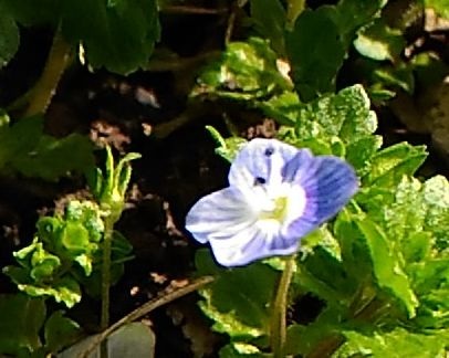 f:id:NShufu:20180314172017j:plain f:id:NShufu:20180314172017j:plain