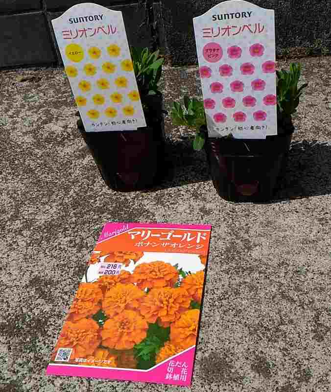 f:id:NShufu:20180407103608j:plain f:id:NShufu:20180407103608j:plain