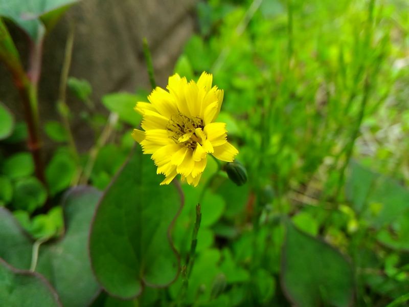 f:id:NShufu:20180418211520j:plain f:id:NShufu:20180418211520j:plain