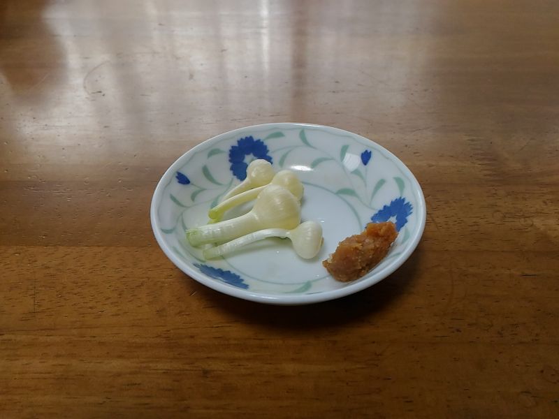 f:id:NShufu:20180526171216j:plain f:id:NShufu:20180526171216j:plain