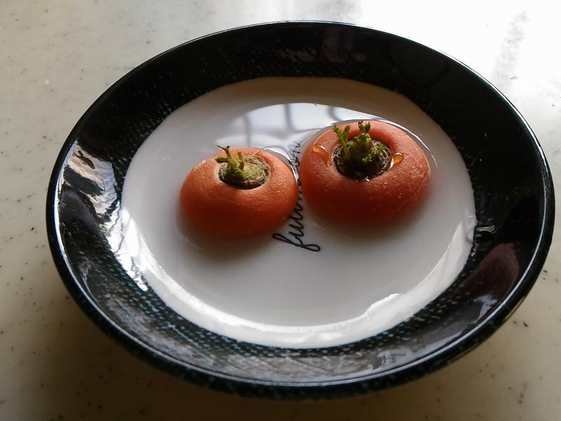 f:id:NShufu:20180624174058j:plain f:id:NShufu:20180624174058j:plain