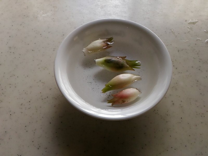 f:id:NShufu:20180723165341j:plain f:id:NShufu:20180723165341j:plain