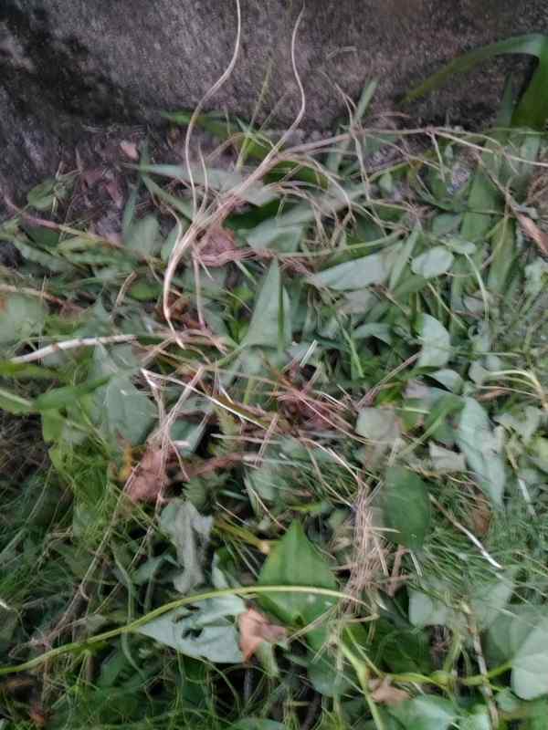 f:id:NShufu:20180814161536j:plain f:id:NShufu:20180814161536j:plain