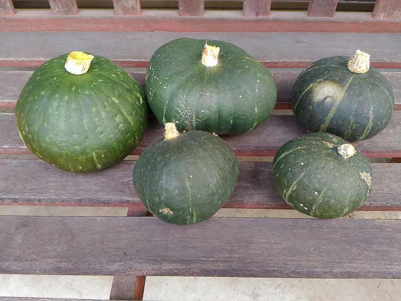 f:id:NShufu:20180821160838j:plain f:id:NShufu:20180821160838j:plain