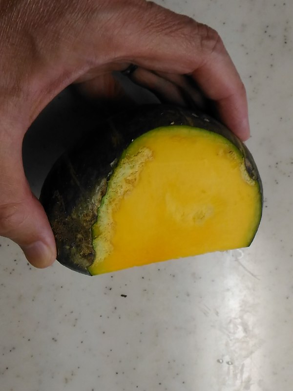 f:id:NShufu:20180903155222j:plain f:id:NShufu:20180903155222j:plain