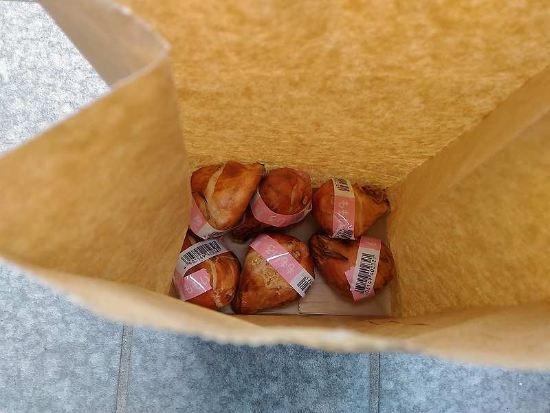 f:id:NShufu:20181007162834j:plain