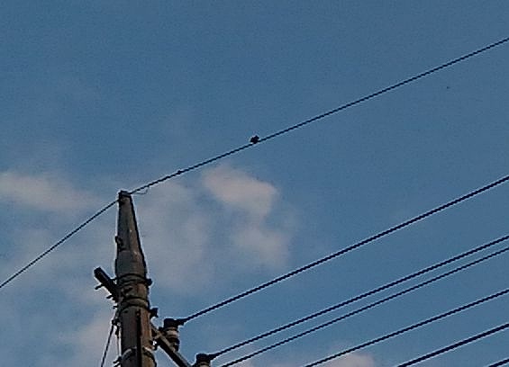 f:id:NShufu:20181103163446j:plain f:id:NShufu:20181103163446j:plain