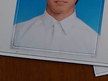 業者撮影によるシールタイプの写真。 業者撮影によるシールタイプの写真。