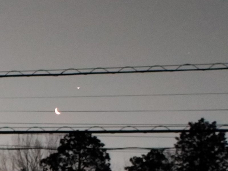 f:id:NShufu:20190215161722j:plain f:id:NShufu:20190215161722j:plain