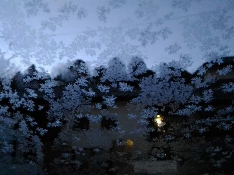 f:id:NShufu:20190216164343j:plain f:id:NShufu:20190216164343j:plain