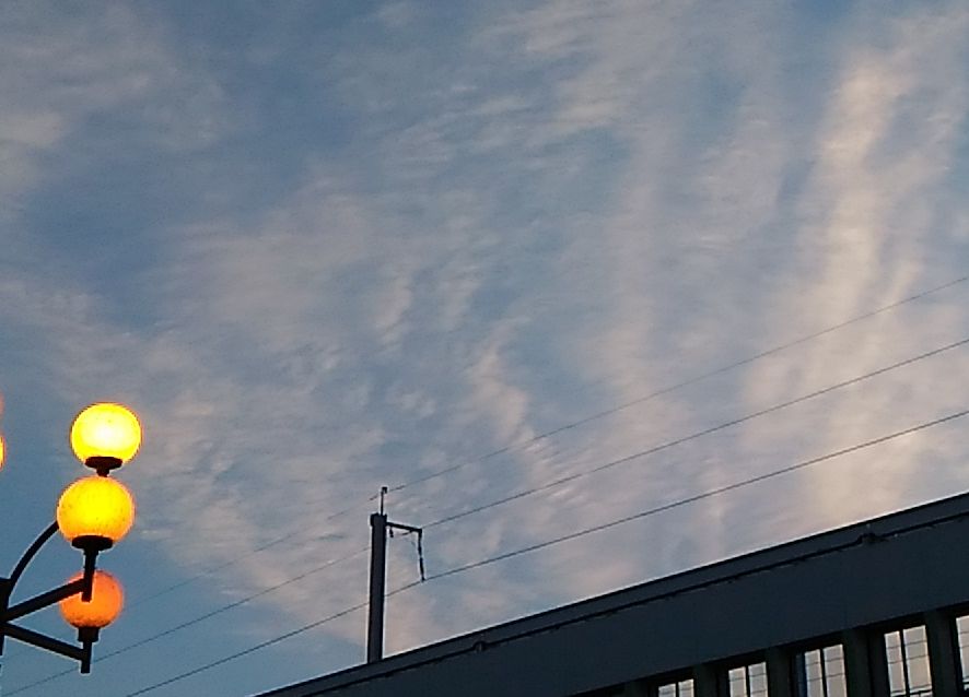 f:id:NShufu:20190217181932j:plain f:id:NShufu:20190217181932j:plain