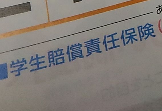 f:id:NShufu:20190219164221j:plain