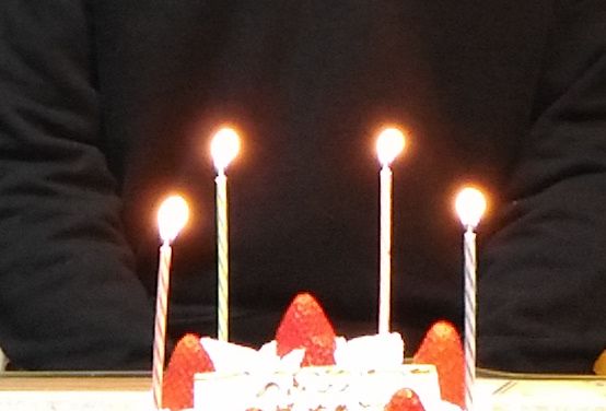 f:id:NShufu:20190321222844j:plain