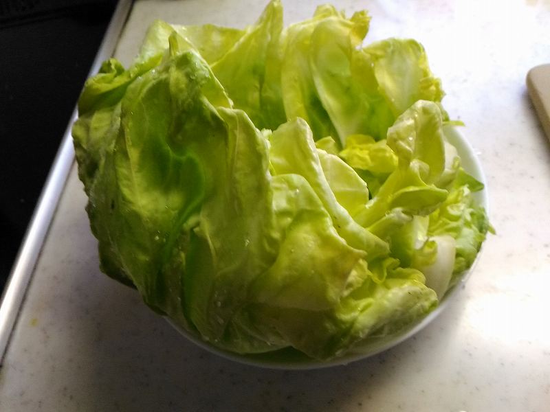f:id:NShufu:20190408184120j:plain f:id:NShufu:20190408184120j:plain